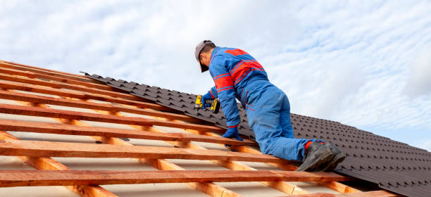 Best Asphalt Shingles Roofing  in Black Jack, MO