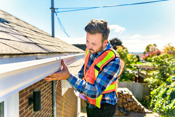 Best Roof Maintenance and Cleaning  in Black Jack, MO