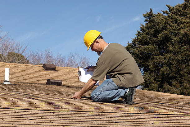 Best Storm Damage Roof Repair  in Black Jack, MO